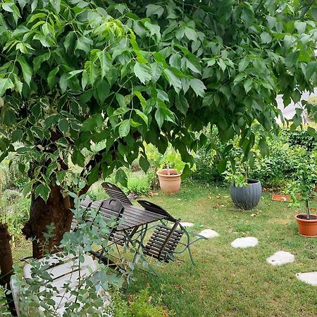 Villa Lotte Лихтенфелс Екстериор снимка