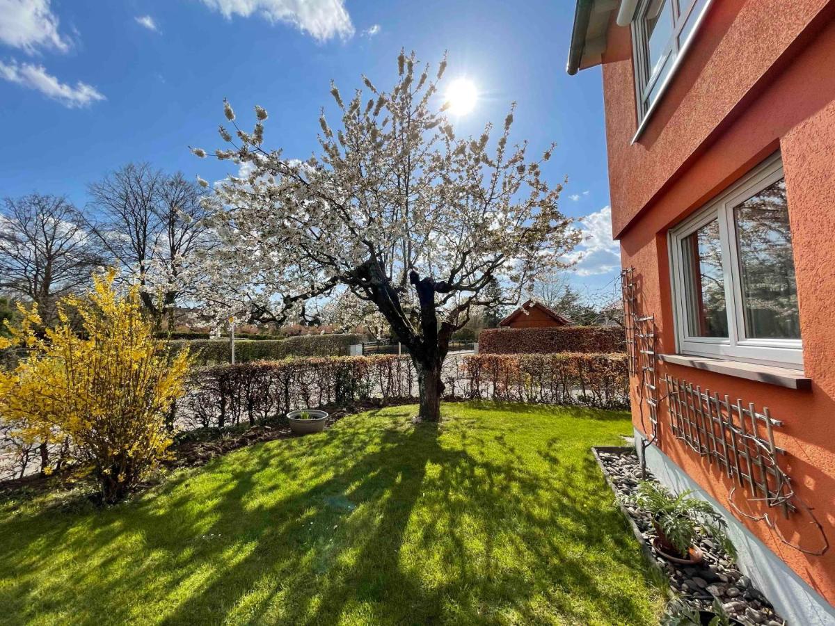 Villa Lotte Лихтенфелс Екстериор снимка