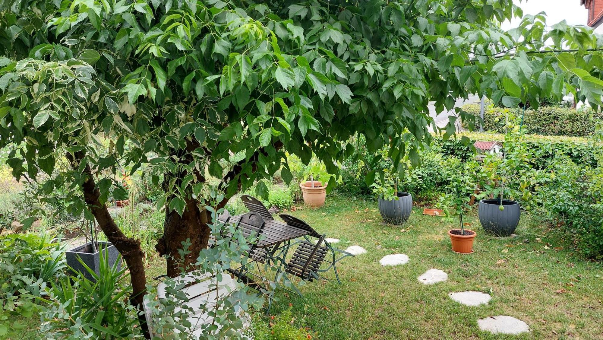 Villa Lotte Лихтенфелс Екстериор снимка